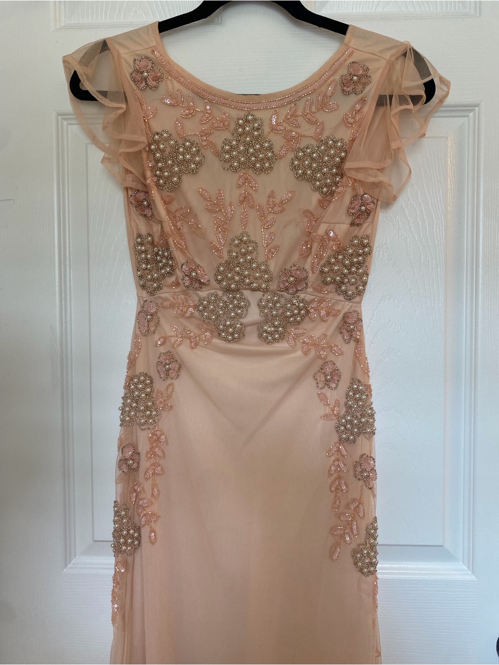 Embellished Sheer Blush Evening Gown